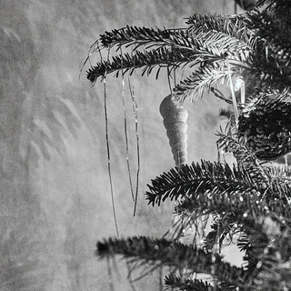 Illustration for article titled Weekly Photo Mission: Results